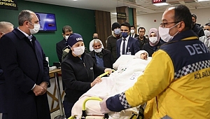 Asiye'ye pitbull saldırısı davasında tutuklu sanık kalmadı