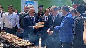 Bakü'de Balık-Ekmek şenliği: Azeriler, Türk balıklarını çok sevdi