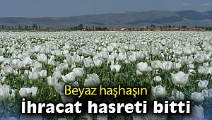 Beyaz haşhaşın 2,5 yıllık ihracat hasreti bitti