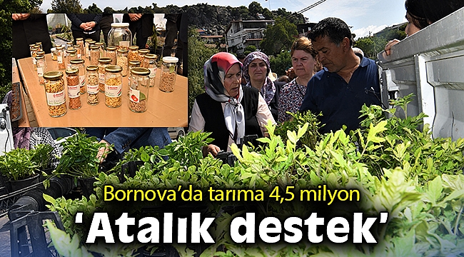 Bornova’da tarıma 4,5 milyon “Atalık destek”