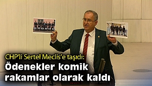 CHP’li Sertel Meclis’e taşıdı: Ödenekler komik rakamlar olarak kaldı