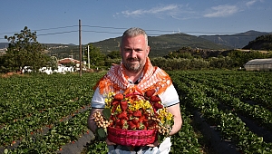 ÇİLEK FESTİVALİ'NE ÇİLEK HASATIYLA DAVET!