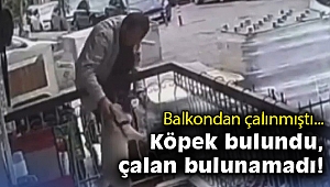 İzmir'de balkondan çalınan köpek bulundu