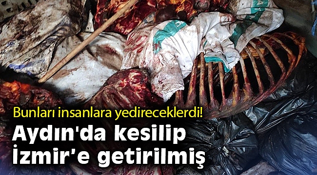 İzmir'de çürümeye yüz tutmuş 3 bin 660 kilo at eti ele geçirildi