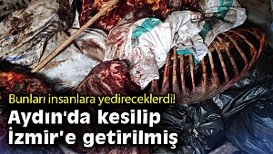 İzmir'de çürümeye yüz tutmuş 3 bin 660 kilo at eti ele geçirildi