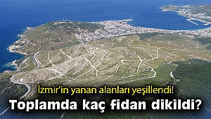 İzmir’in yanan alanları yeşillendi! Toplamda kaç fidan dikildi?