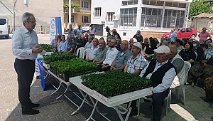 Kemalpaşa Çamlık’ta gıda ve sağlık toplantısı