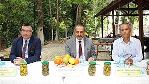 Kornişon ihracatında hedef kalıntısız üretimle 200 milyon dolara ulaşmak