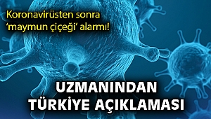 Koronavirüsten sonra ‘maymun çiçeği’ alarmı! Uzmanından Türkiye açıklaması