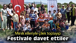 Minik elleriyle çilek toplayıp festivale davet ettiler