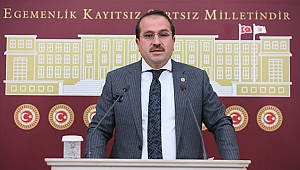 AK Partili Kırkpınar açıkladı: Yetiştiricilere 4 kalemde destek ödemeleri başladı