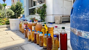 Atık yağlar can dostlara mama oluyor