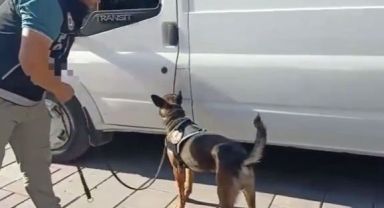 Bakan Soylu özellikle tebrik etmişti: İzmir'de 280 binin üzerinde hap ele geçirildi
