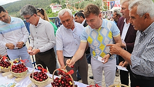 Bayındır Balcılar Kiraz Festivali 10. yılında