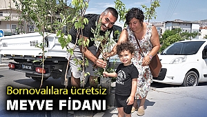 Bornovalılara ücretsiz meyve fidanı