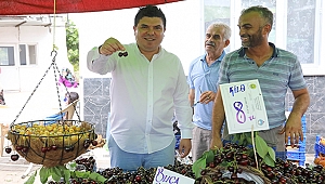 Buca’da Kiraz Festivali için geri sayım başladı