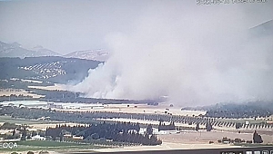 Foça'da orman yangını... Müdahale devam ediyor...