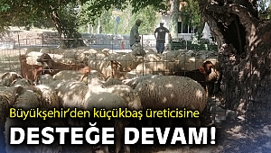 İzmir Büyükşehir Belediyesi’nden küçükbaş üreticisine büyük destek