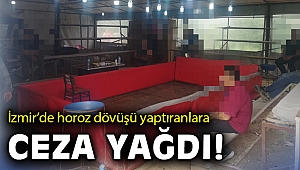 İzmir'de horoz dövüşü yaptıran 46 şüpheliye işlem