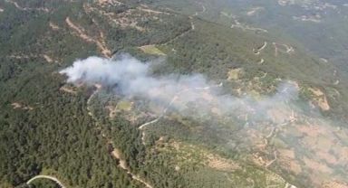 İzmir'de ormanlık alanda yangın
