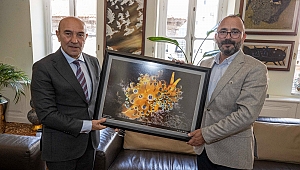 İzmir Körfezi’nde bir ilk: Janolus Cristatus görüldü