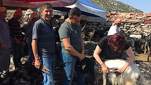 Karaburun’un Kırkım Şenliği’ne sayılı günler kaldı!
