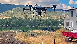 Kınık Belediyesi'nden larva ve uçkunlara karşı drone ile mücadele
