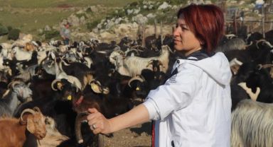 Kırkım Şenliği için tüm hazırlıklar tamam!