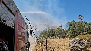 Muğla'nın iki ilçesinde orman yangını