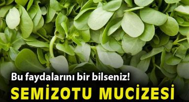 Bu faydalarını bir bilseniz! Meyvelerin faydasını arttırmak mümkün!