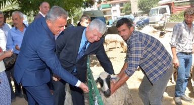 Büyükşehirden Beydağlı Üreticilere Küçükbaş Hayvan Desteği