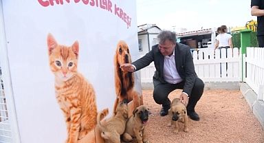 Can dostlarına muhteşem yerleşke