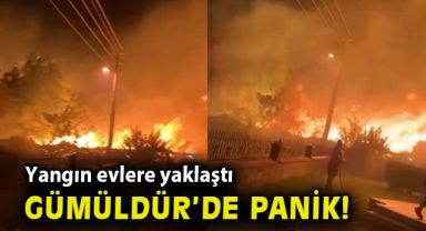 Gümüldür’de çıkan yangın evleri tehdit etti!