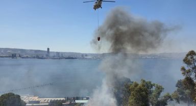 İzmir'de otluk alanda yangın