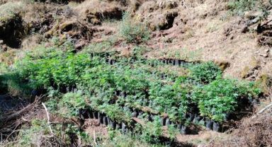 İzmir’de uyuşturucu operasyonları: 23 şüpheli yakalandı