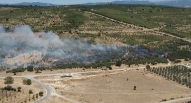 İzmir'de ziraat arazisindeki yangın kontrol altında