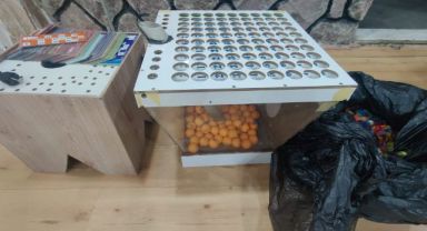 Kahvehaneye kumar baskınında ceza yağdı
