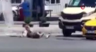 Trafik ışıklarında kendini araçların önüne attı!