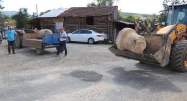 250 yıllık sütunlar kayıptı, ünlü ailenin villasında bulundu