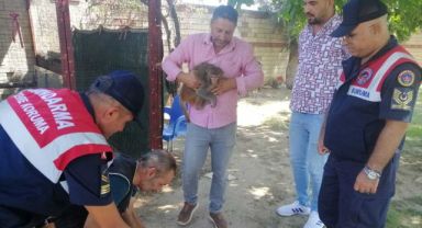 İzmir’de ilginç olay: 2 yaşındaki çocuğun elini maymun ısırdı