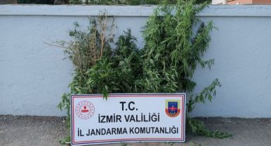 İzmir'de uyuşturucu baskınları: 27 şüpheli yakalandı