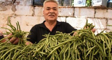 Karakızlar’da “Börülce Festivali” yapılacak
