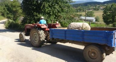 Altınkılıç ailesinde kaybolan sütunlarla ilgili açıklama