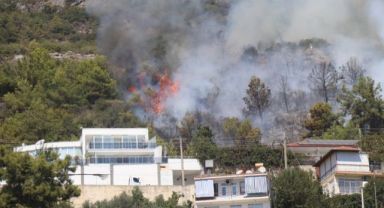 Alanya'da orman yangını !