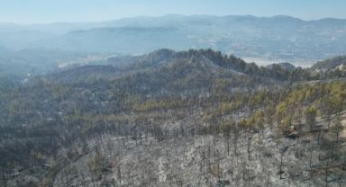 Denizli - Muğla sınırında çıkan yangında 100 hektar alan siyaha büründü