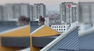 İstanbul'da gasp çetesine film gibi operasyon: Kaçarken çatıda yakalandı
