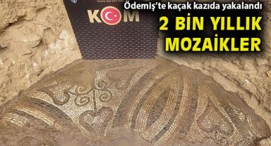 İzmir'de kaçak kazı yapan kişinin tarlasında 2 bin yıllık mozaik bulundu