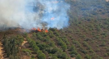 İzmir'de makilik alanda yangın