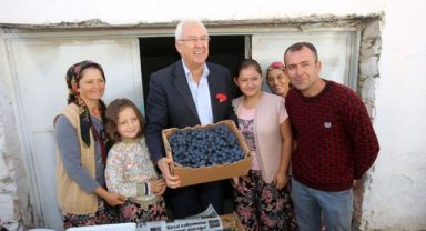 Kavacık Üzüm Festivali yarın başlıyor