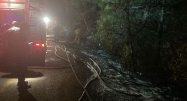 Kuşadası Milli Park'ta orman yangını çıktı, facia ucuz atlatıldı